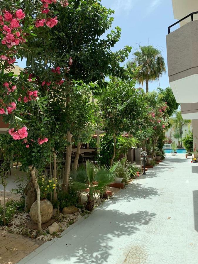Tasiana Star Limassol Luaran gambar